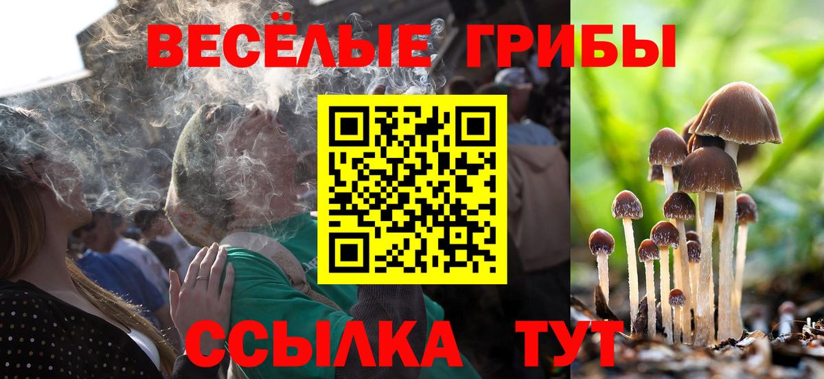 Альметьевск  Псилоцибиновые грибы MAGIC MUSHROOMS  Вход с VPN 